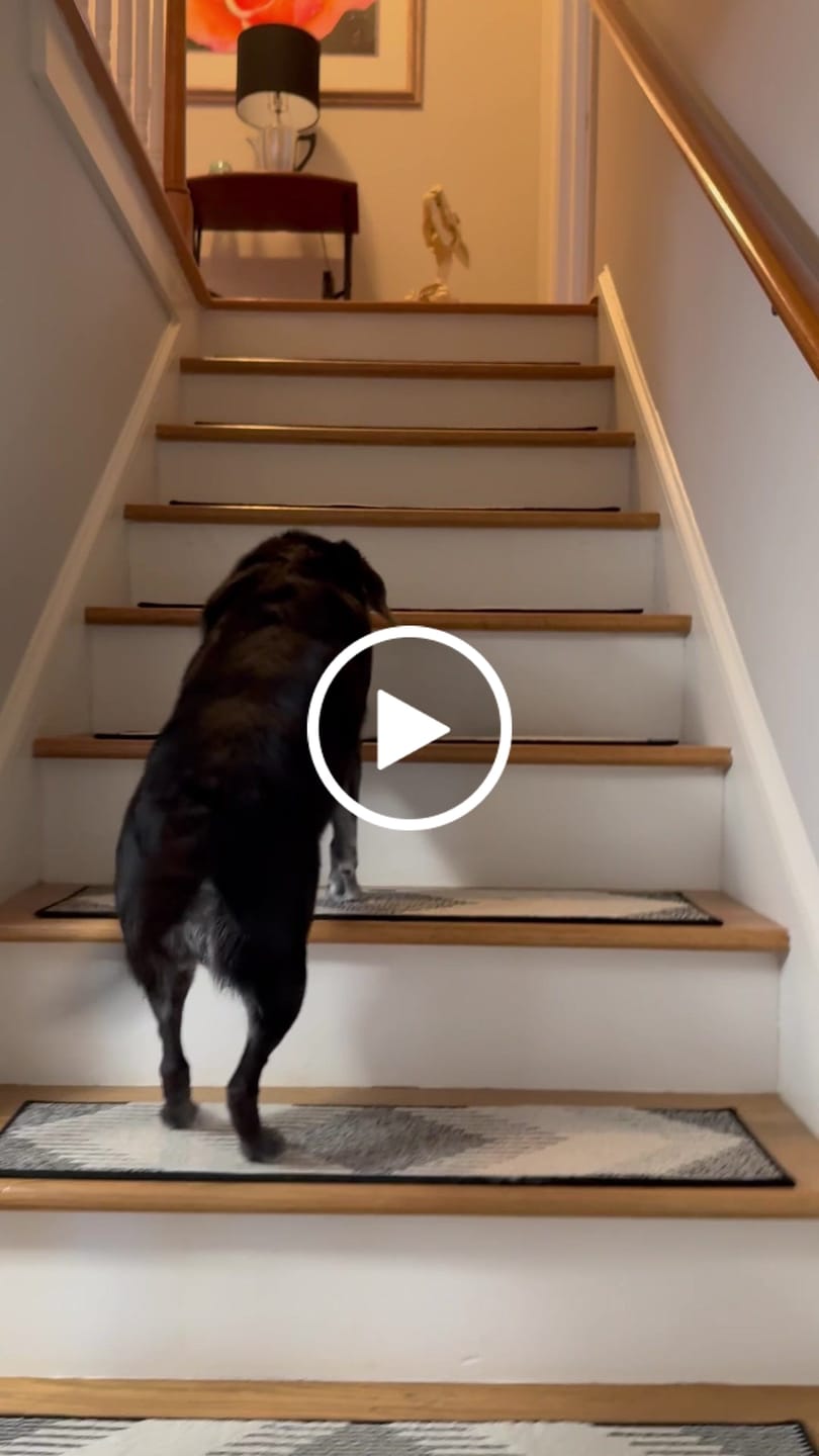 Customer video review of Textured Non-Slip Stair Treads - Black