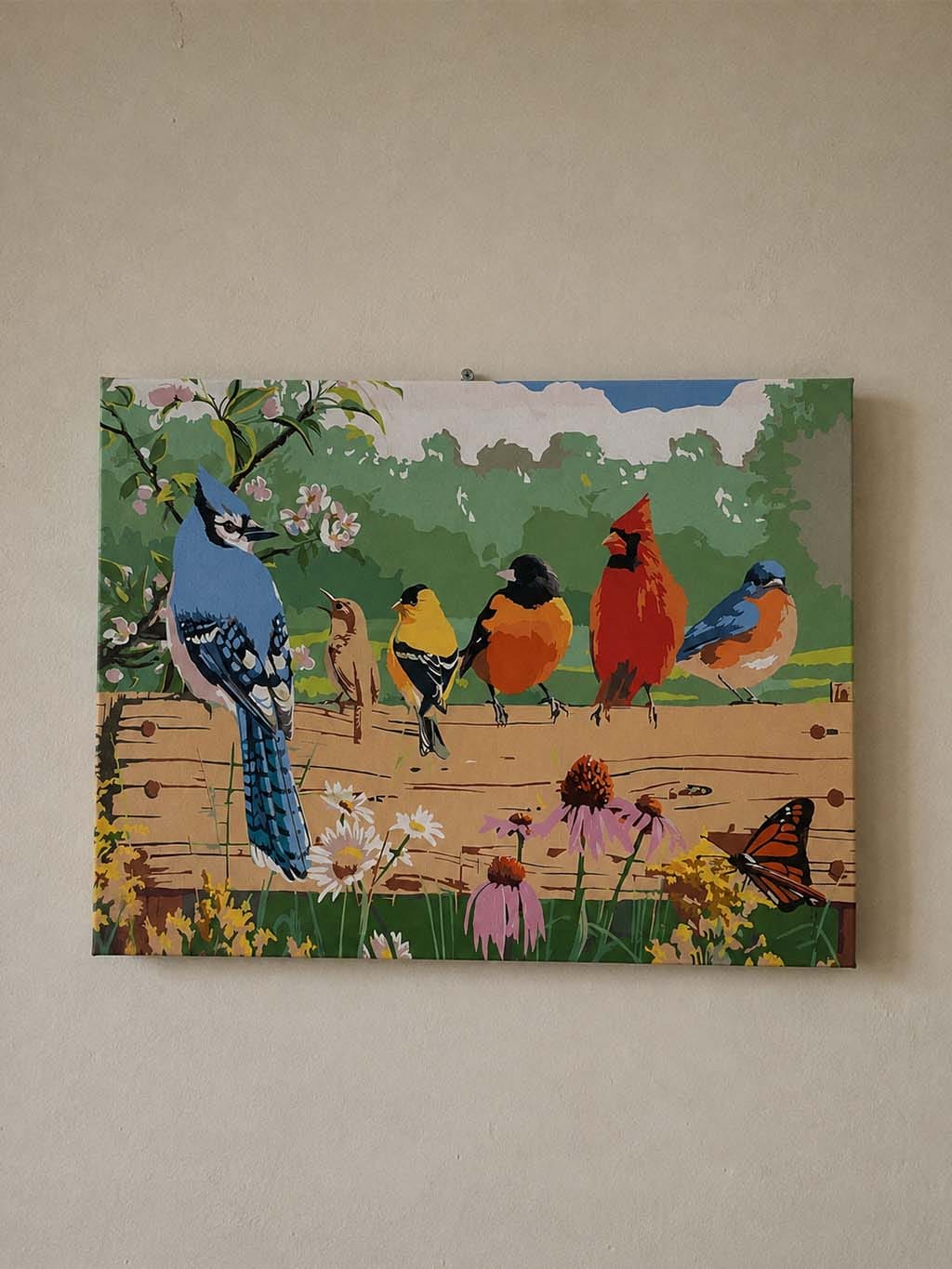 Customer photo review of Oiseaux sur la barrière