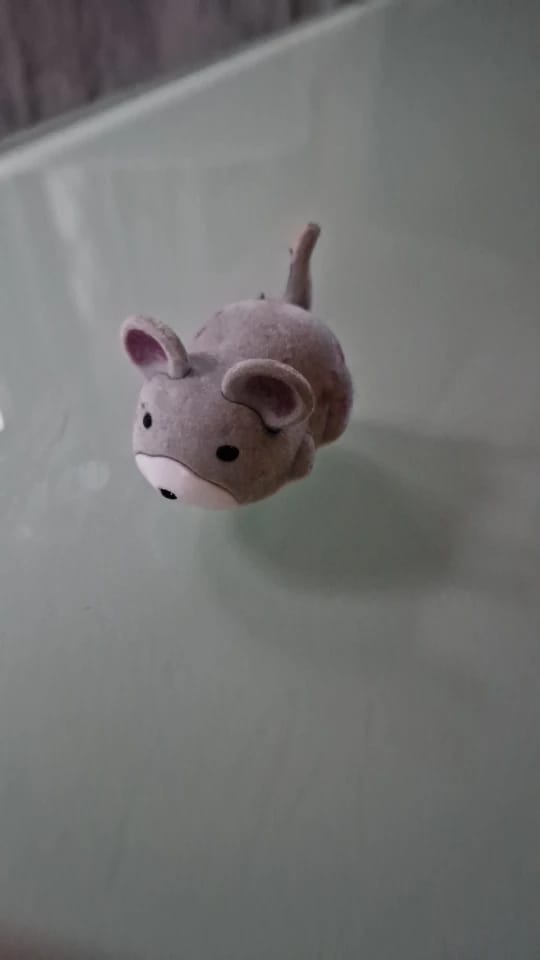 Customer photo review of Soft Touch Automatic Moving Mouse Cat Toy