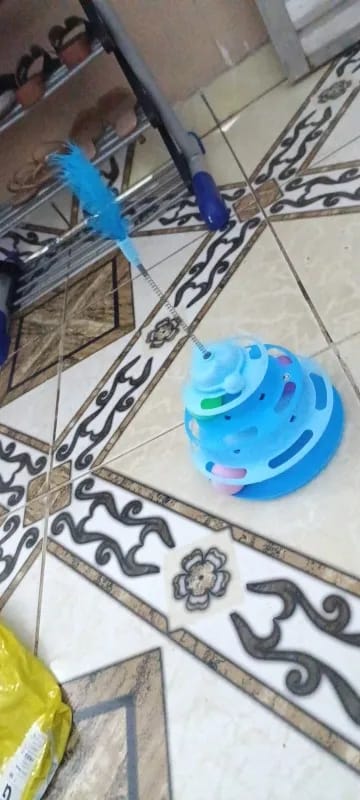 Customer photo review of Three Tier Cat Ball Track Toy with Feather Teaser