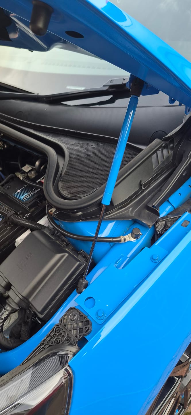 Customer photo review of Mk4/4.5 Focus inc ST Gas Strut Bonnet Lifters (Painted Finishes)