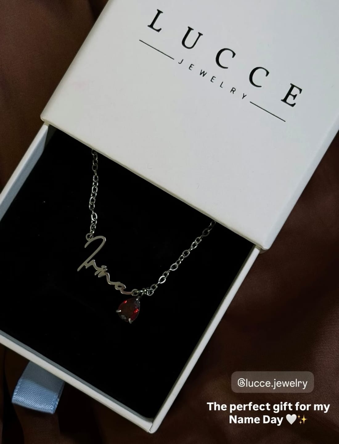 Customer photo review of Lucce Signature Necklace