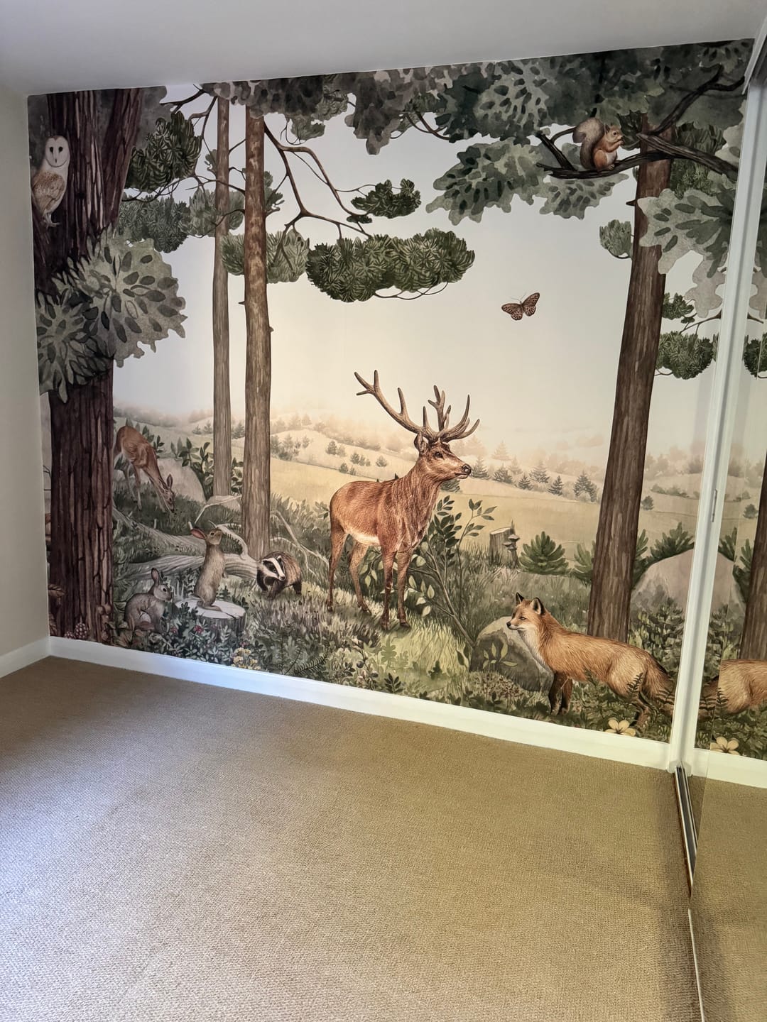 Customer photo review of Forest Jive - Children's Brown Woodland Animal & Trees Wallpaper Mural