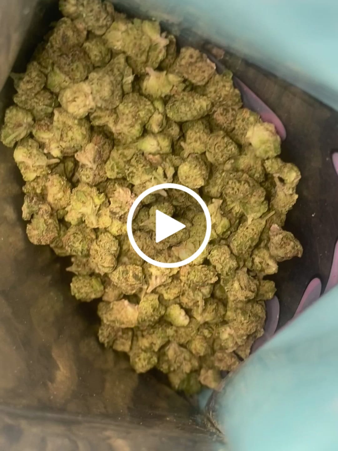 Customer video review of 1 Oz Cheap THCA Small Buds