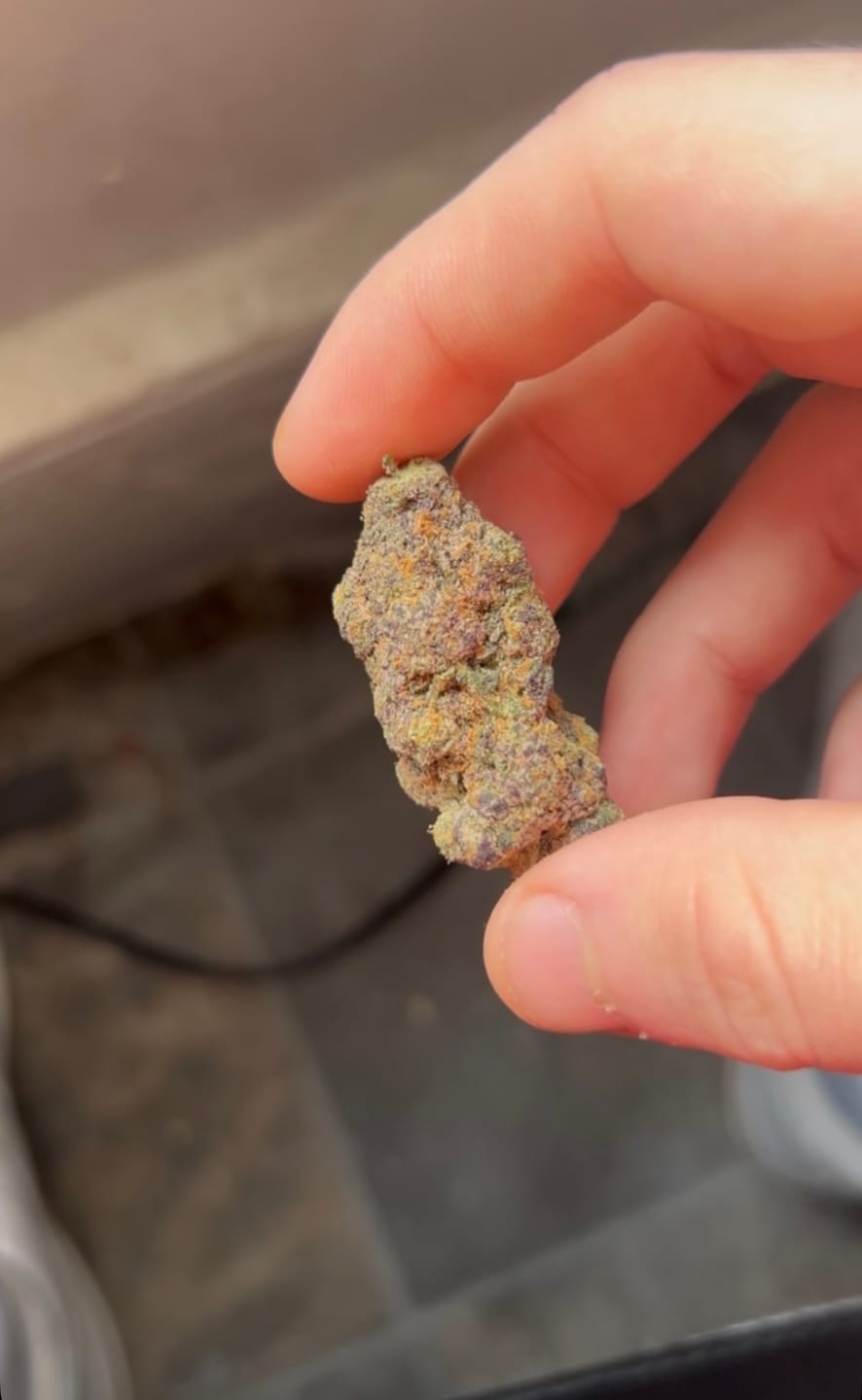 Customer photo review of THC Drink