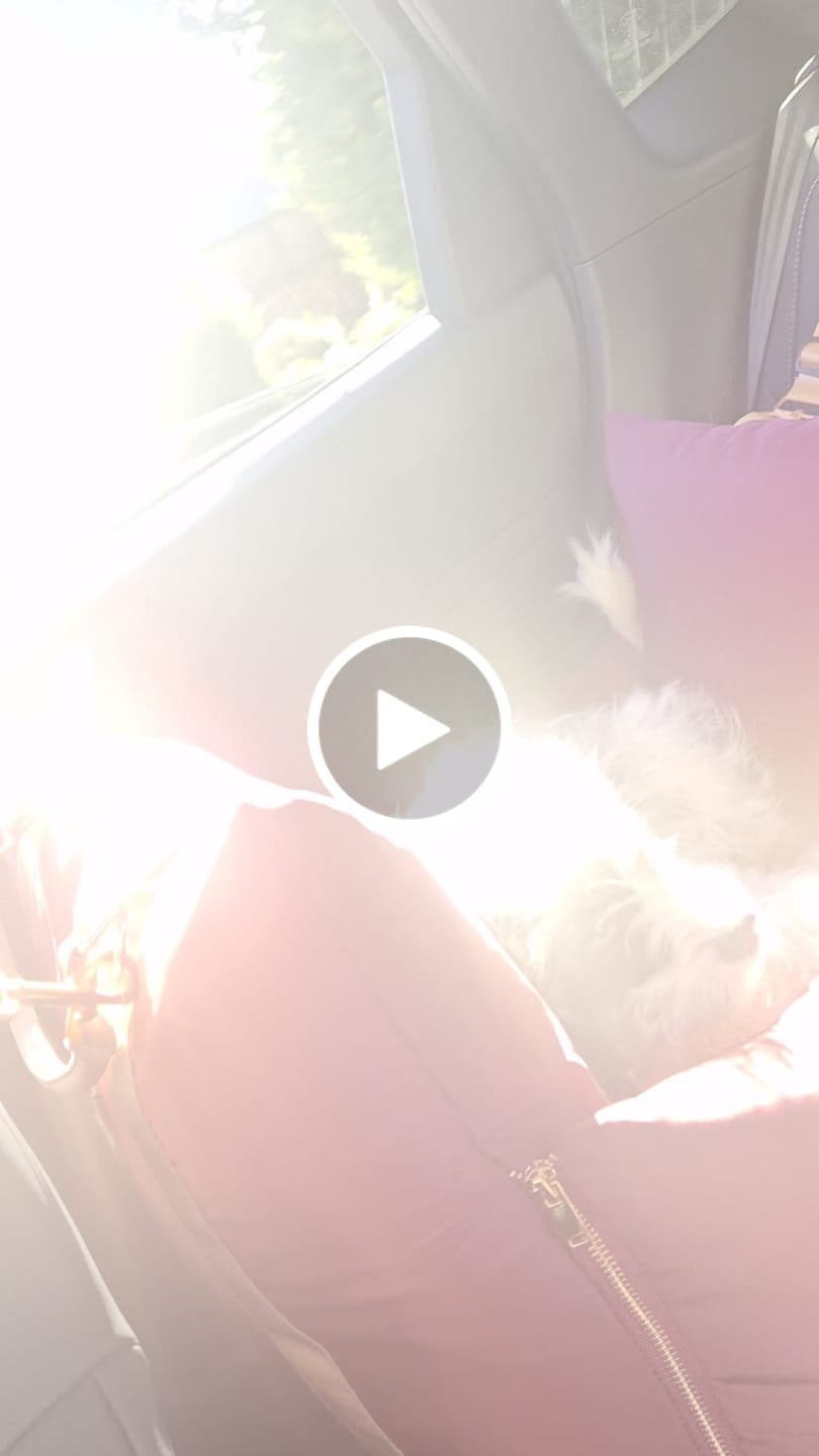 Customer video review of Travel Dog Pod - Rosewood