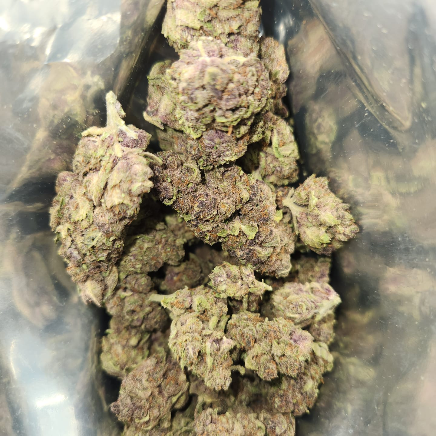 Customer photo review of Tropicana Cherry THCA Flower