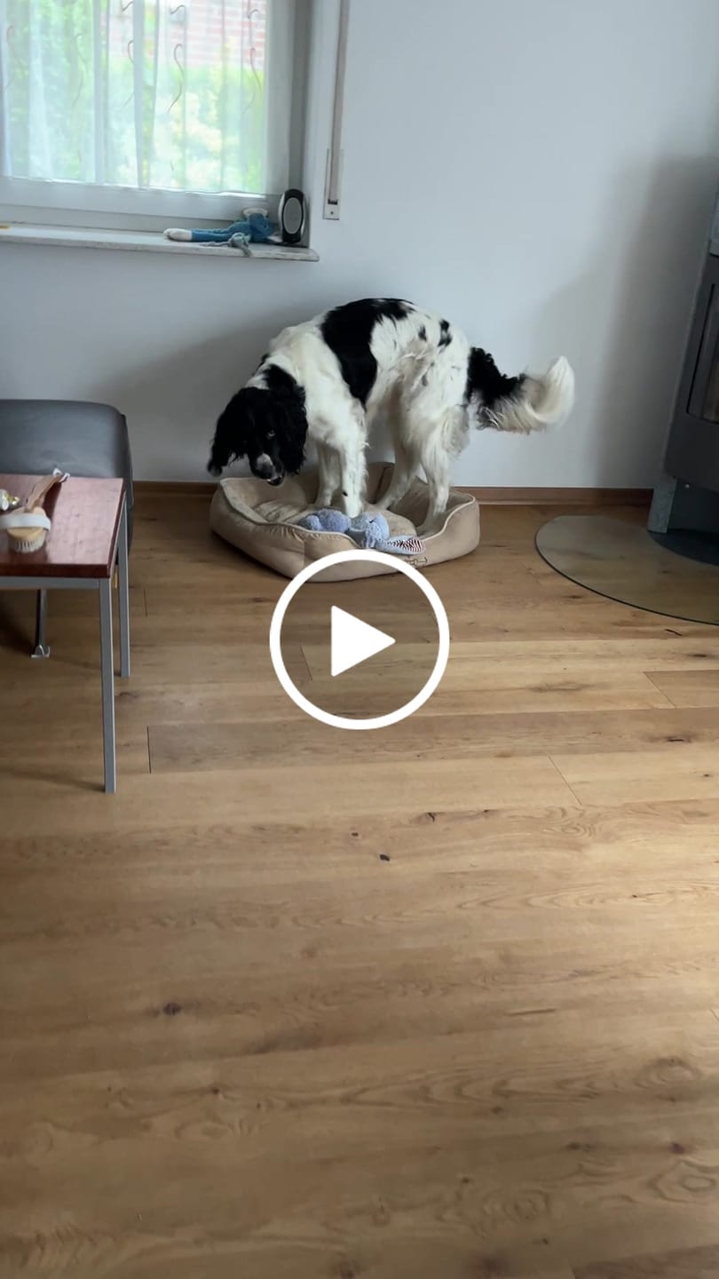 Customer video review of Wurmtest Basic Hund