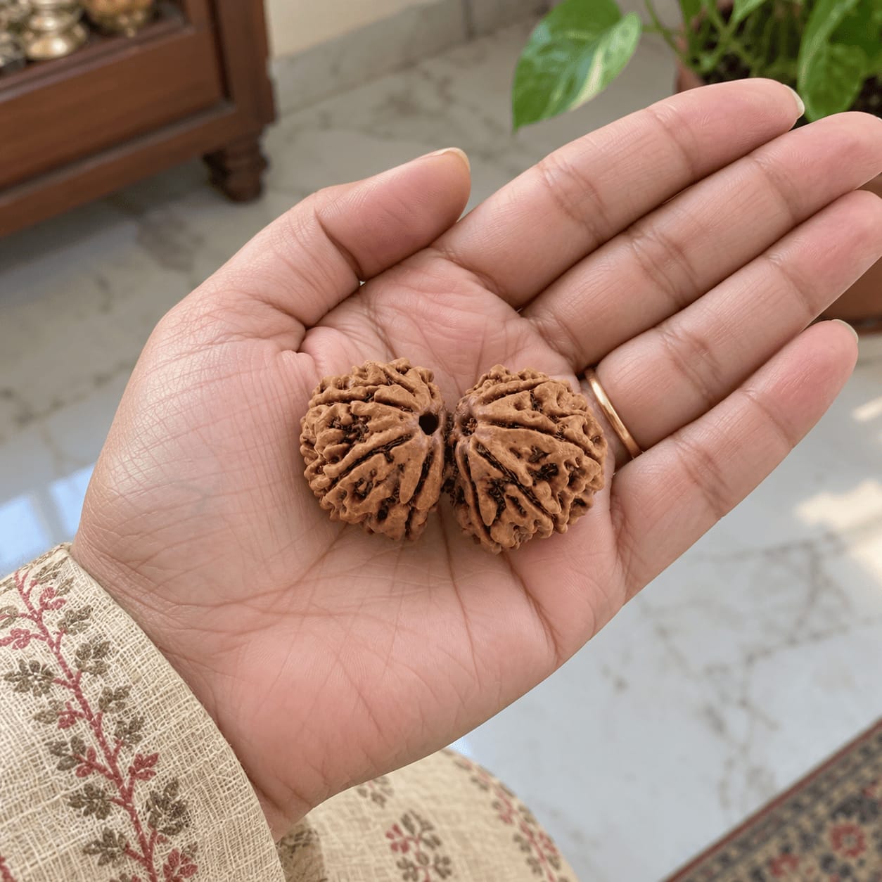 Customer photo review of Gauri Shankar Rudraksha (Nepali)