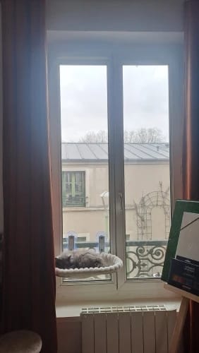 Customer photo review of Reversible Cat Window Perch Bed with Suction Cups