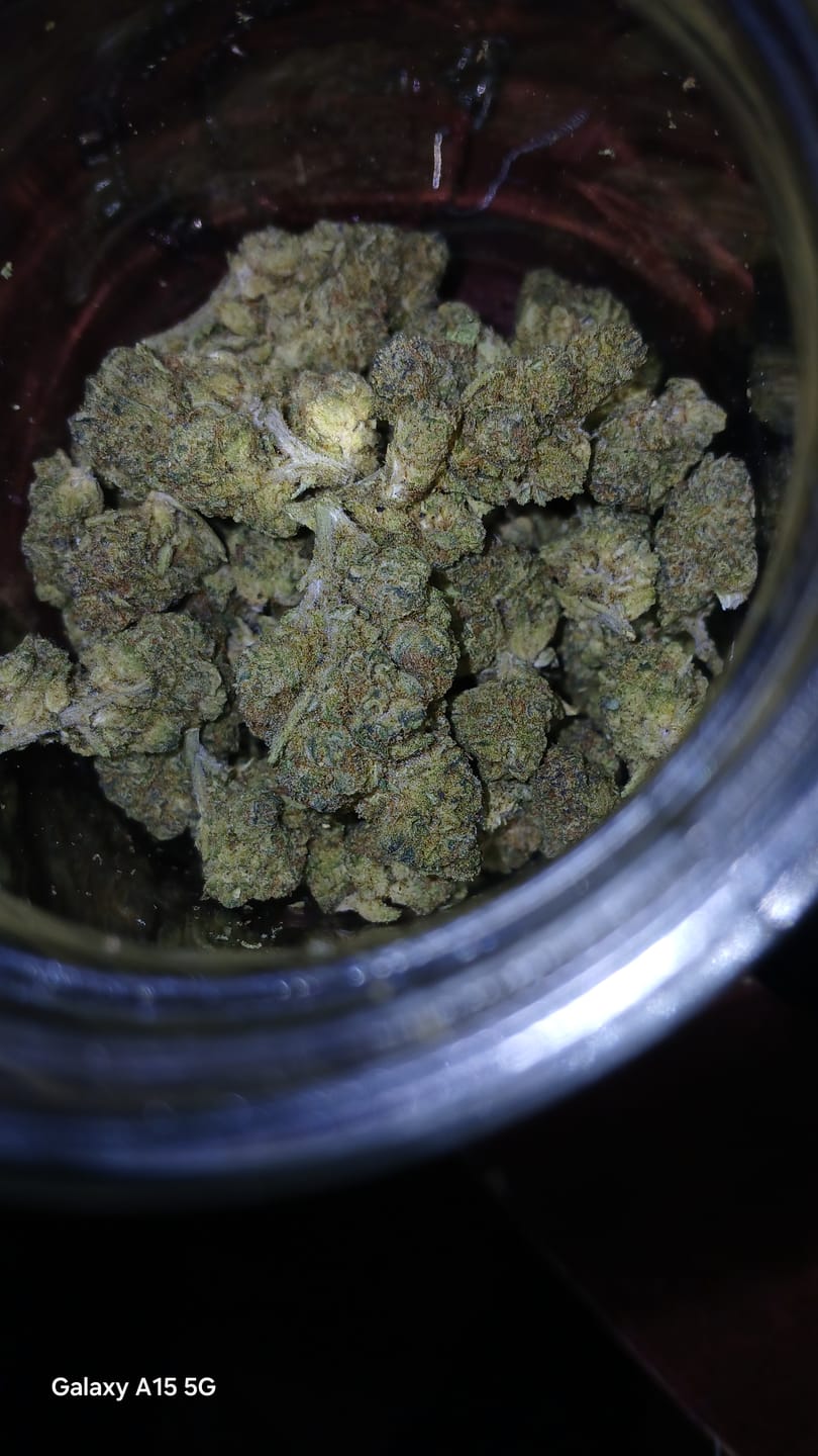 Customer photo review of Acapulco Punch THCA Flower