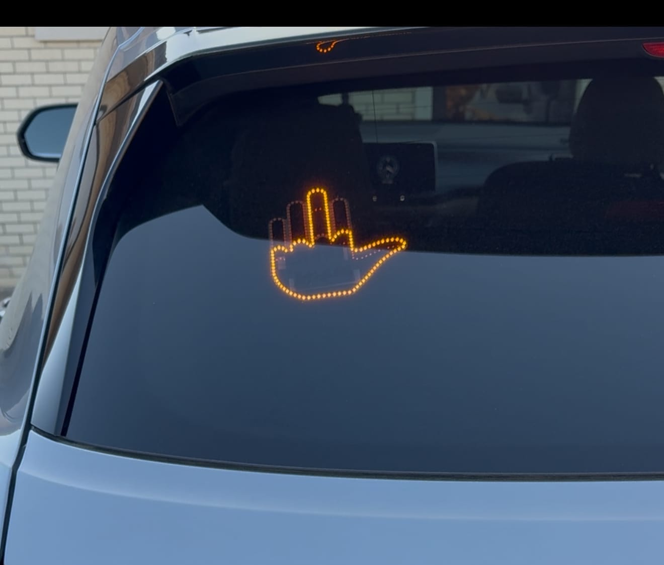 Customer photo review of BirdFlipper™ - Led Hand Sign