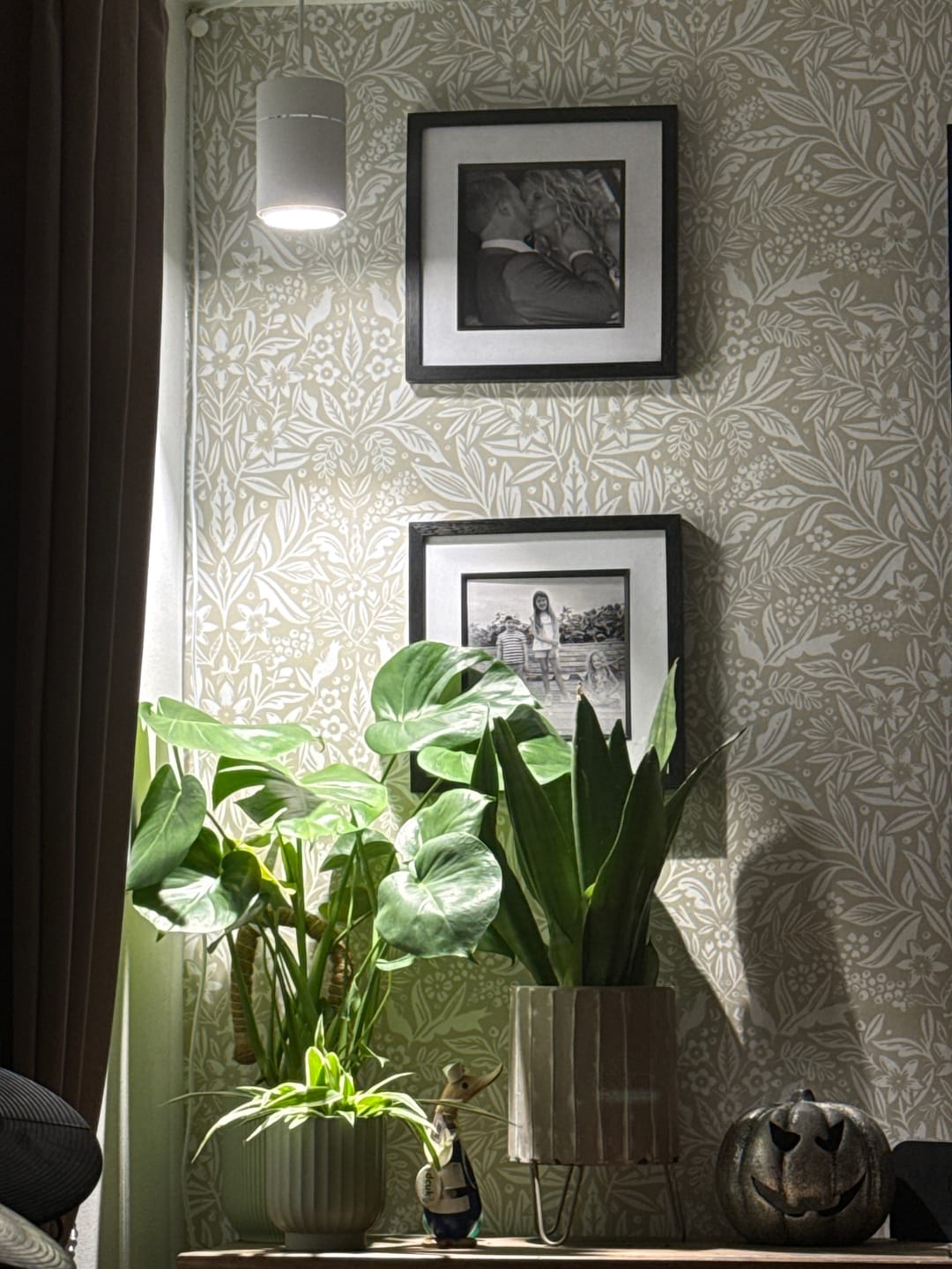 Customer photo review of Claria Grow Light Pendant