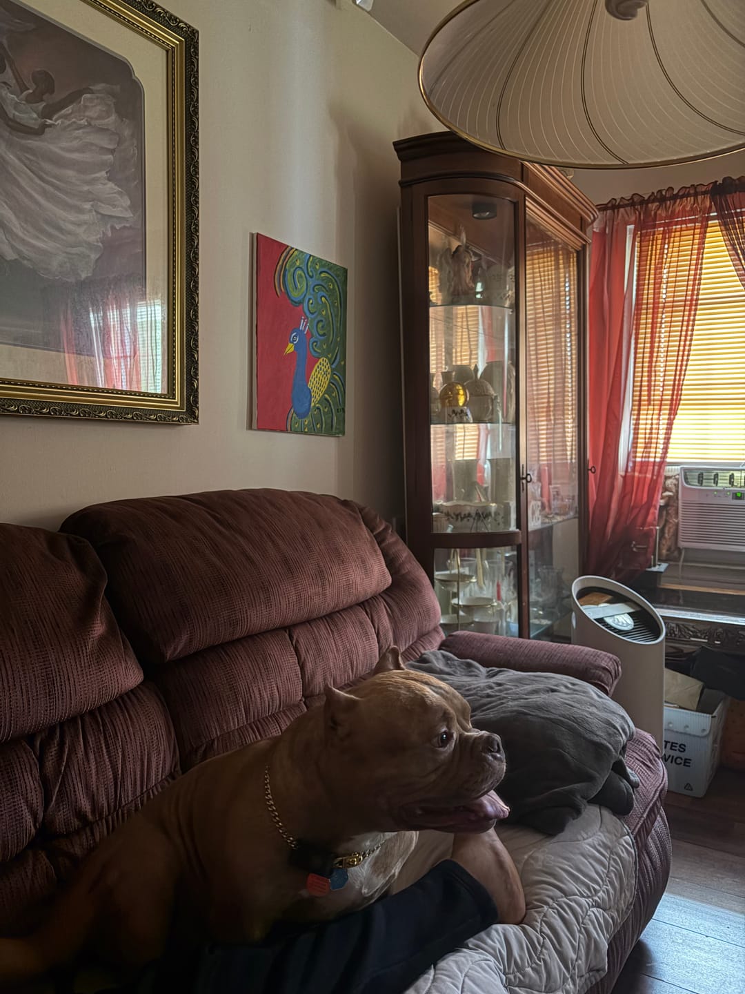Customer photo review of FurLife™ - Flea & Tick Defense Chews