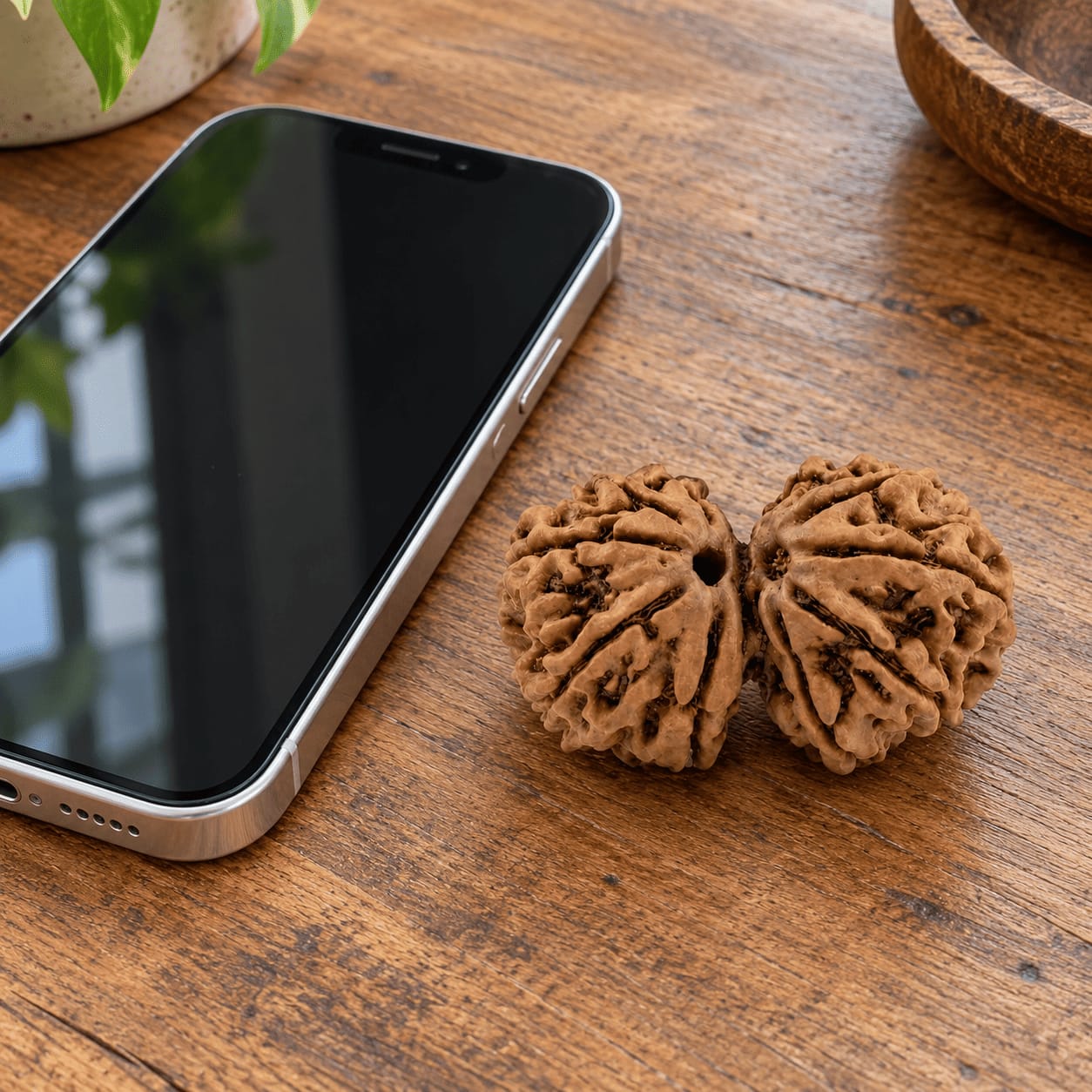 Customer photo review of Gauri Shankar Rudraksha (Nepali)