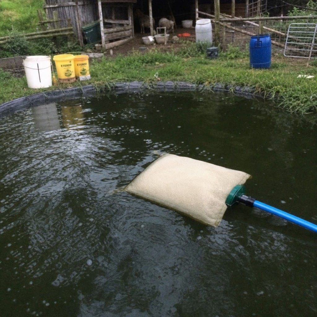 Customer photo review of Pond Ammonia Remover Filter Pouch UK | Removes Nitrite & Heavy Metals | Koi Safe