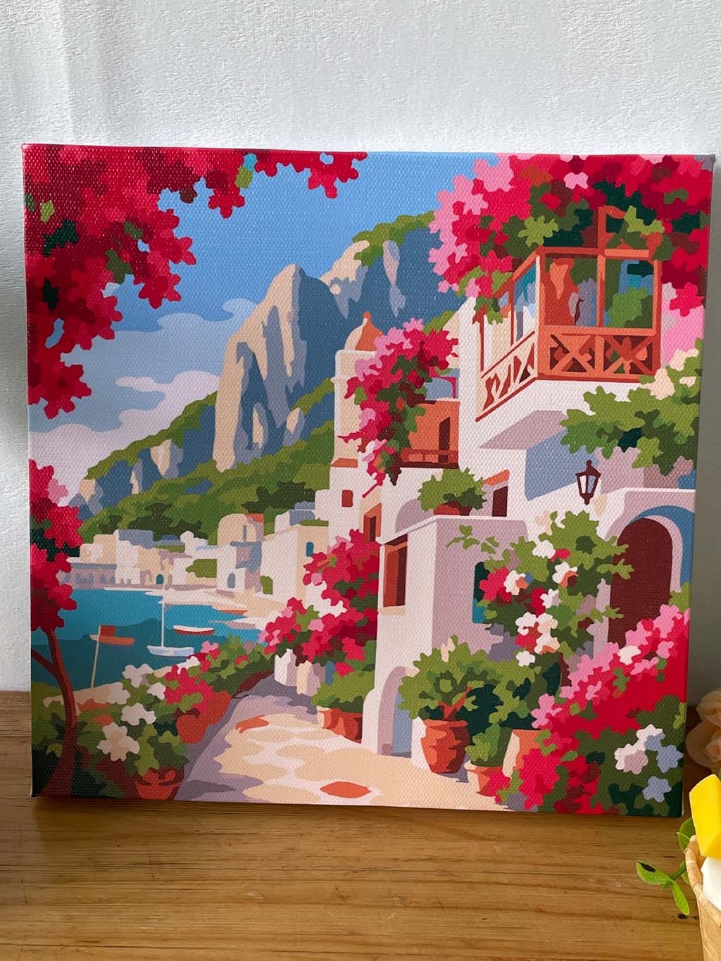 Customer photo review of Mini Peinture par Numéros 20x20cm avec cadre Allée Fleurie de Capri