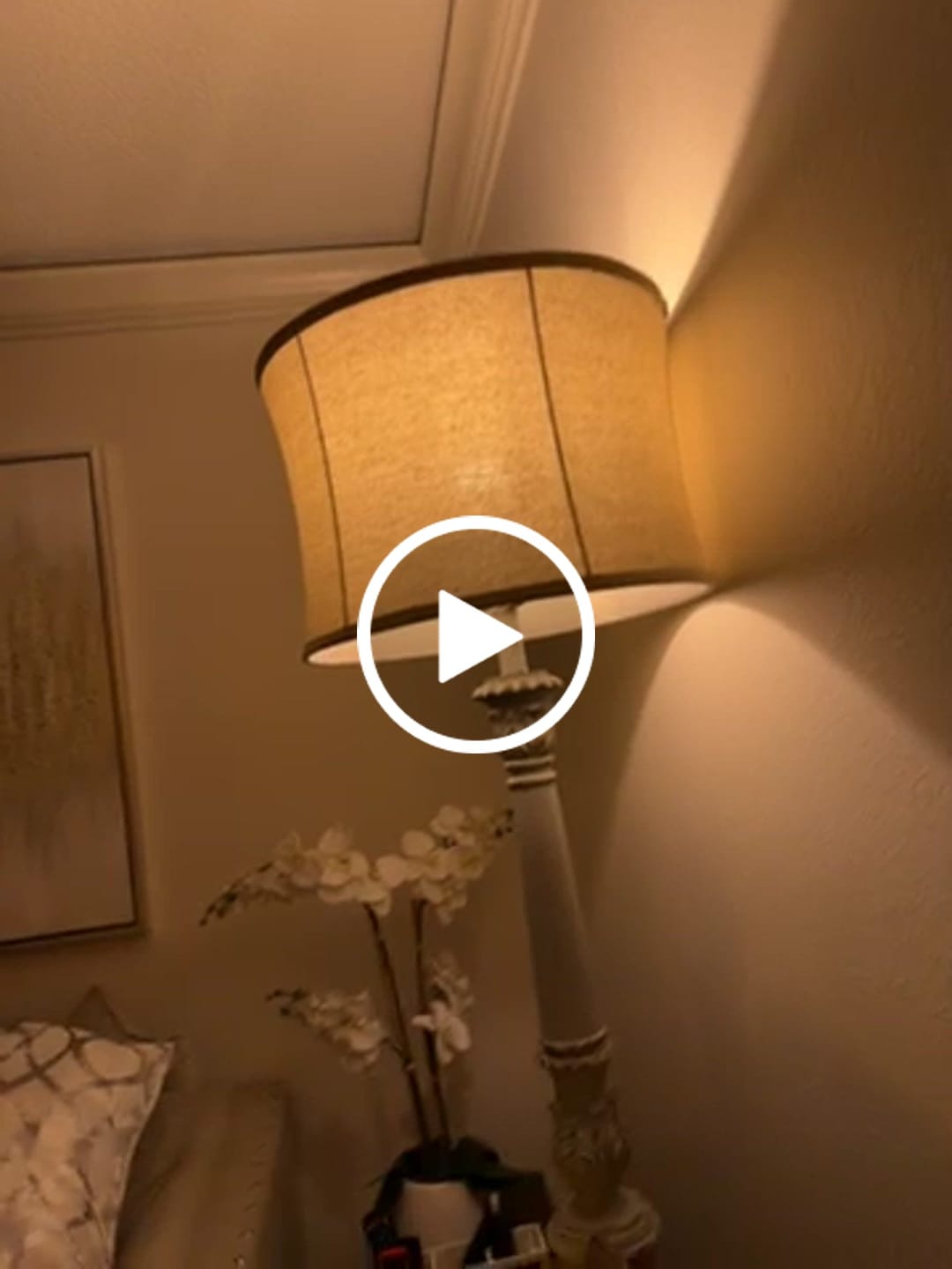 Customer video review of Circadian Night Light