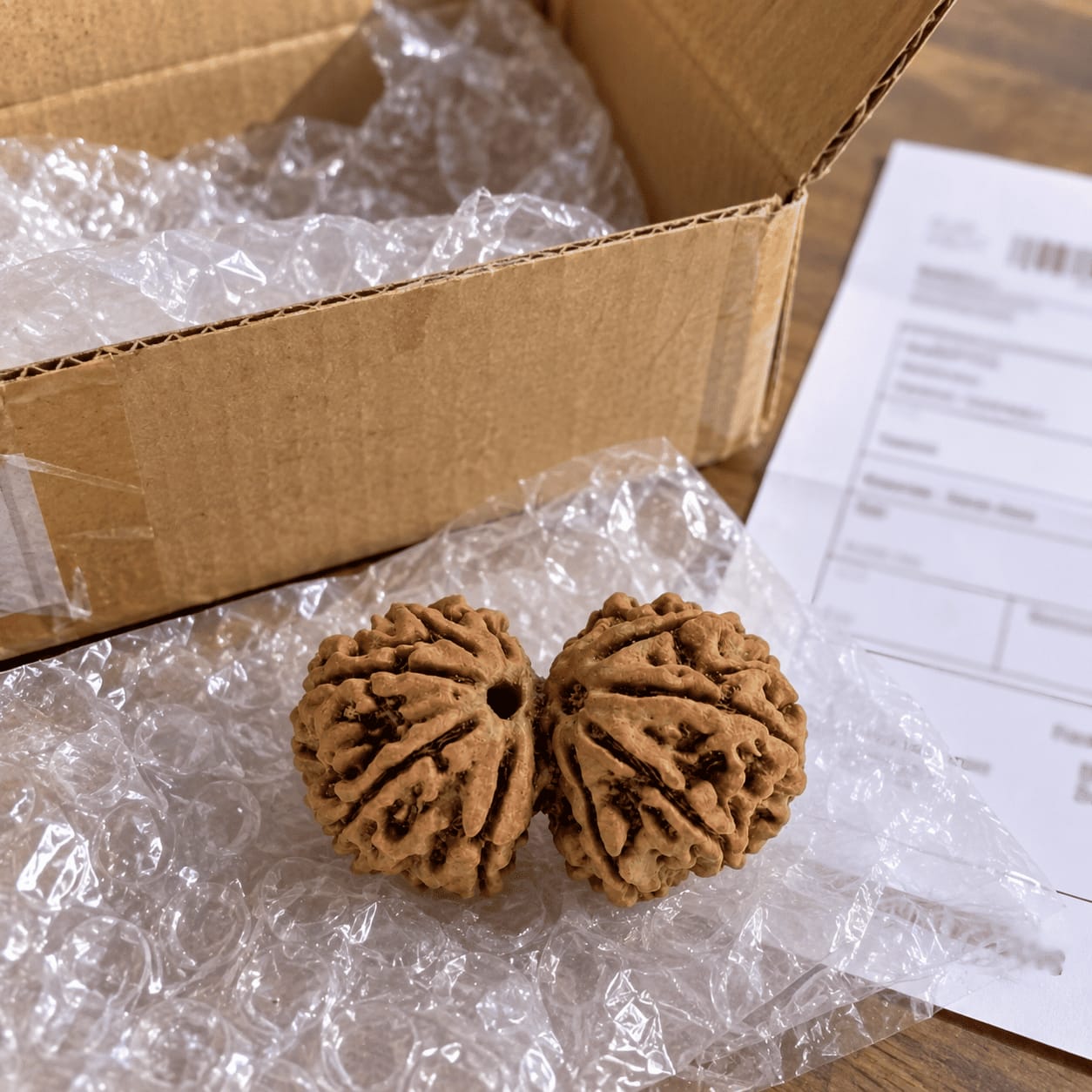 Customer photo review of Gauri Shankar Rudraksha (Nepali)
