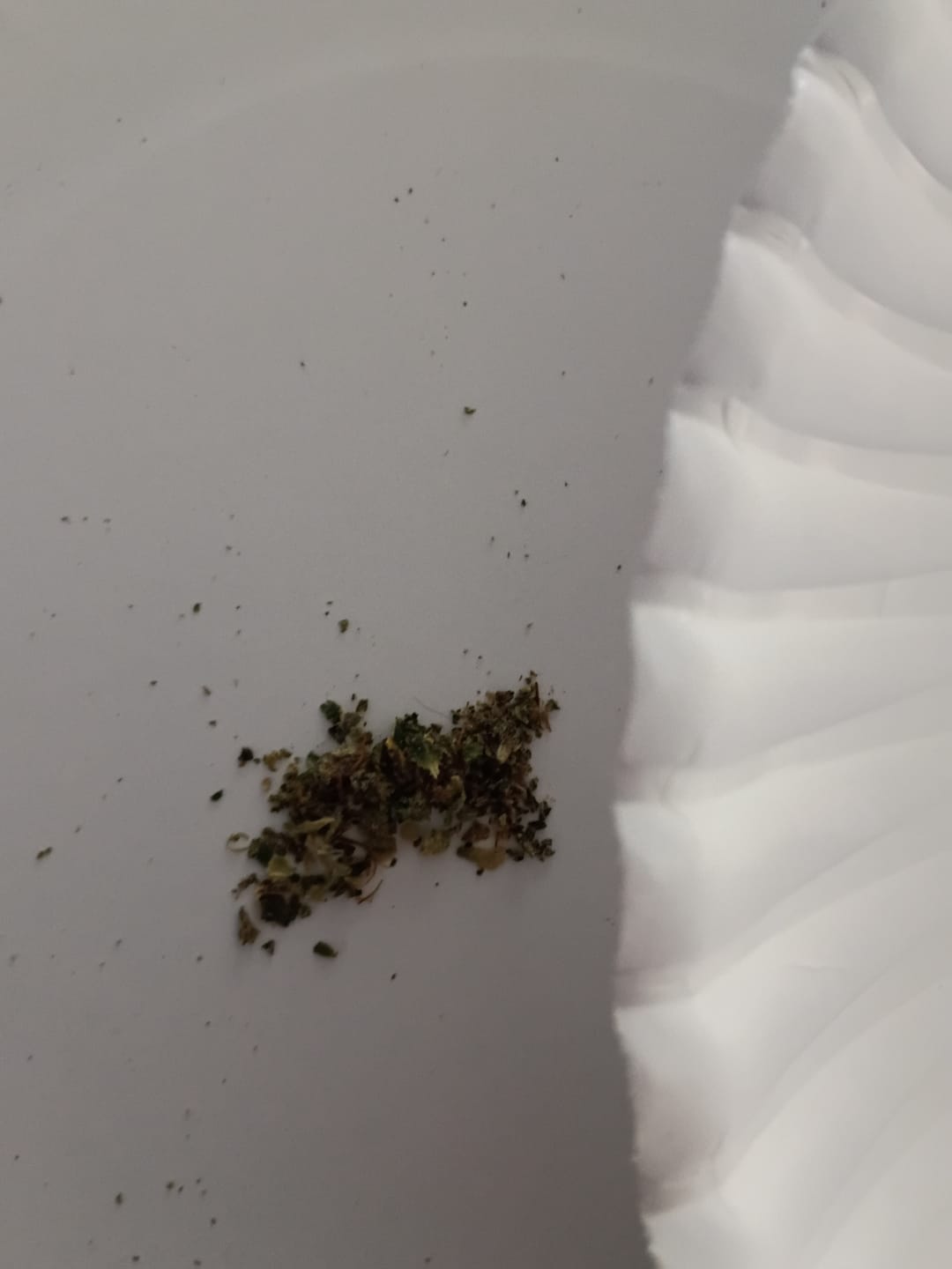 Customer photo review of Hybrid Blend Shake Flower