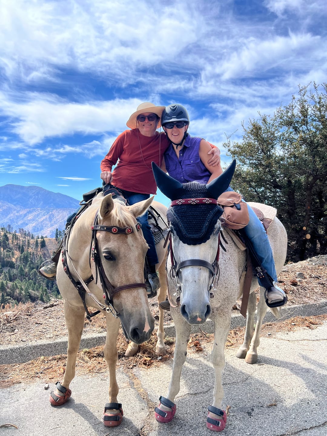 Customer photo review of Renegade® Classic Hoof Boot Seconds - Arizona Copper