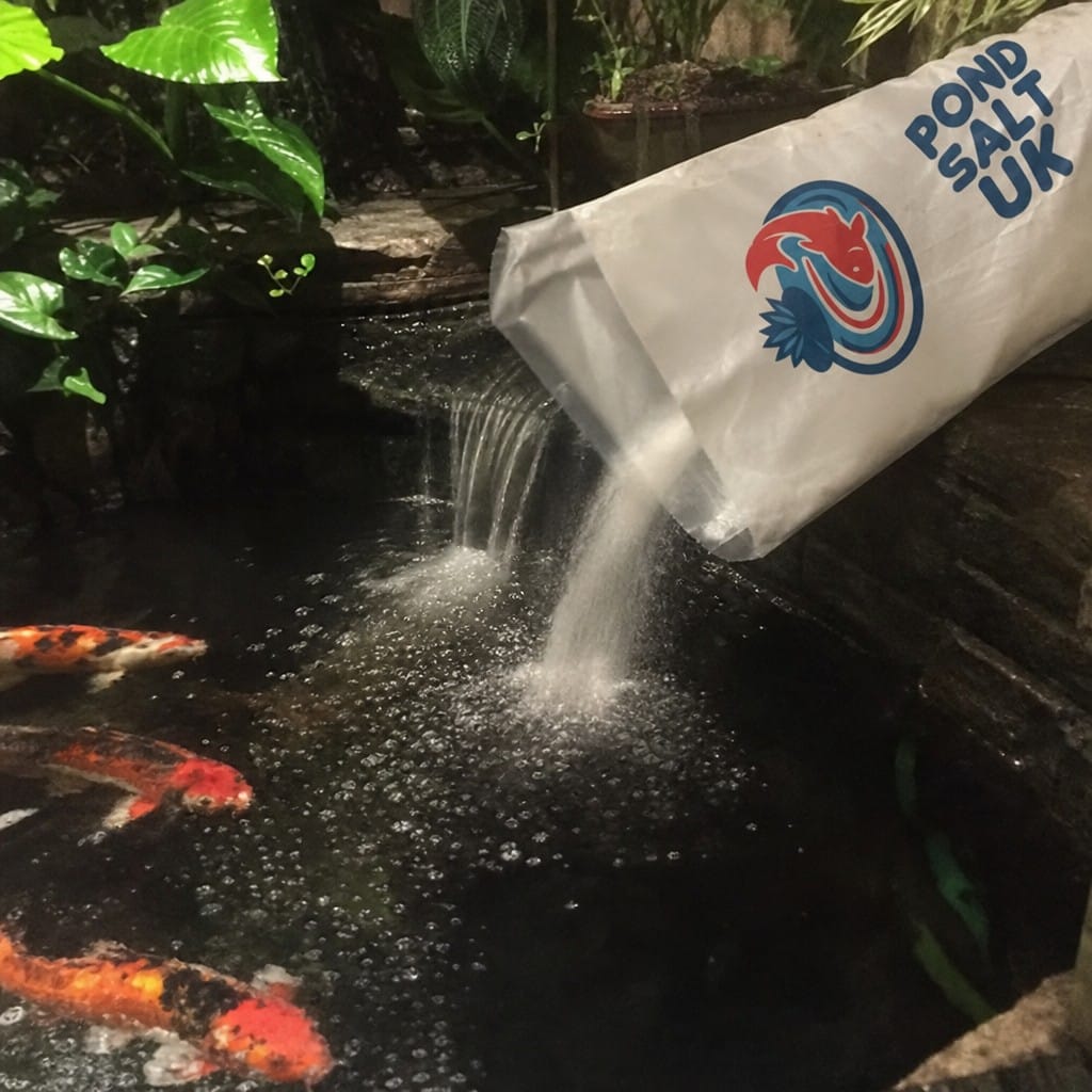 Customer photo review of Pond Salt UK | Pure Aquatic Salt for Koi & Goldfish | Reduces Stress | Aids Recovery