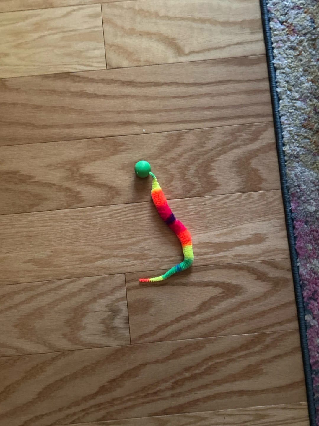Customer photo review of Bouncy Cat Toy Balls with Fuzzy Worm Tails