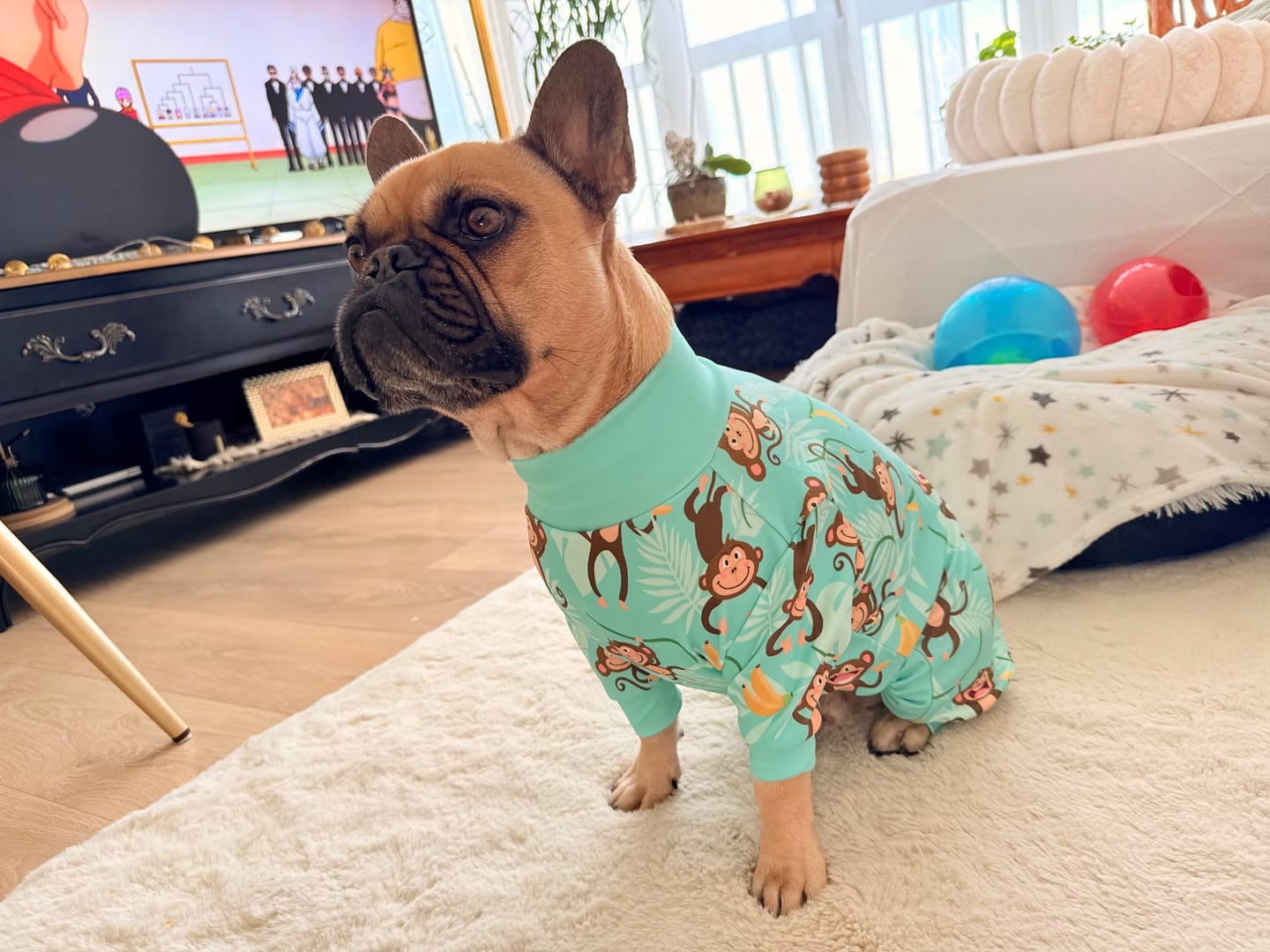 Customer photo review of Dog Pajama - Monkey Business