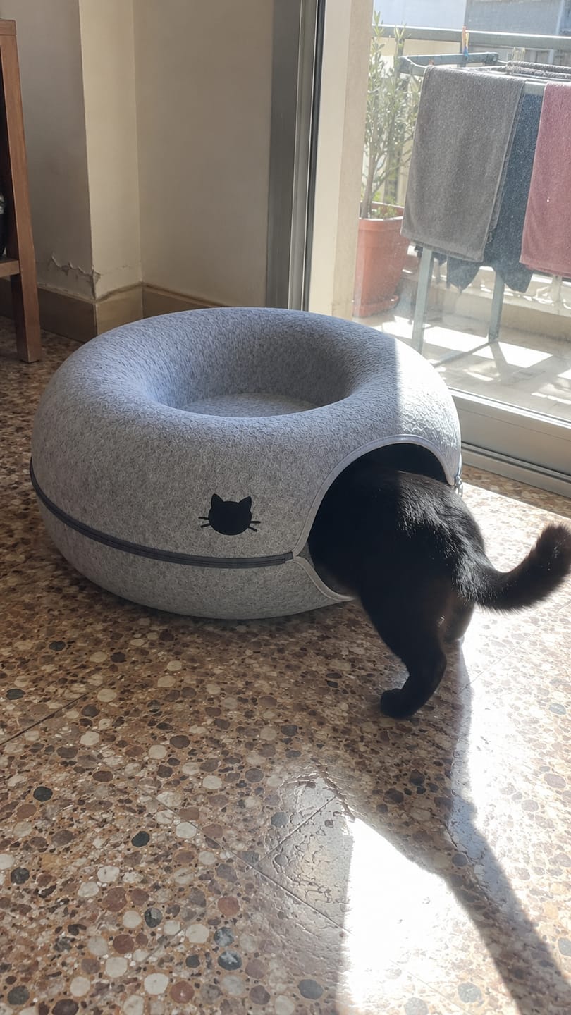 Customer photo review of Túnel Antiaburrimiento para Gatos
