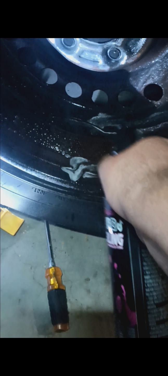 Customer photo review of Absolute Acid