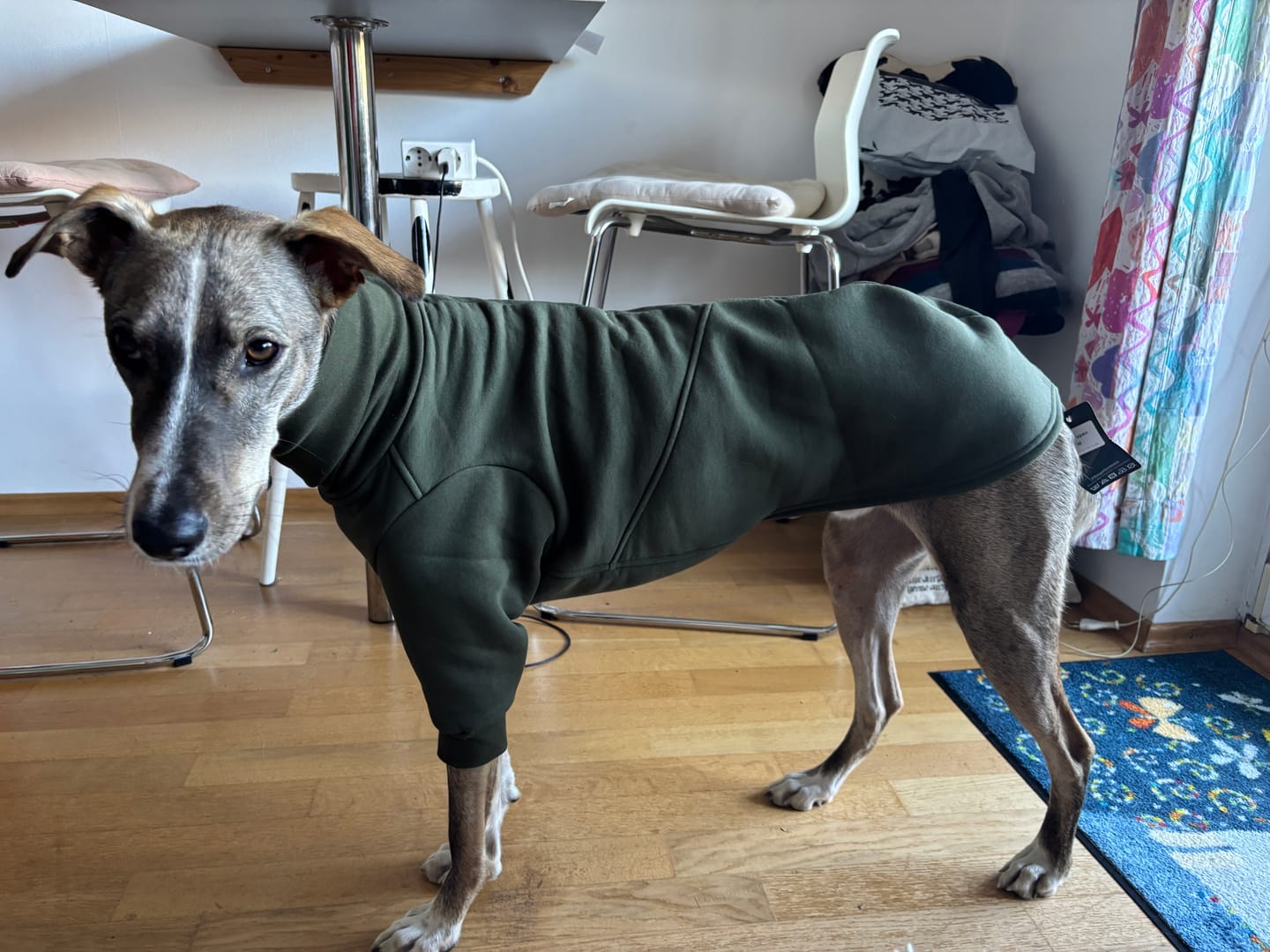 Customer photo review of Aspen "Mountain Green"