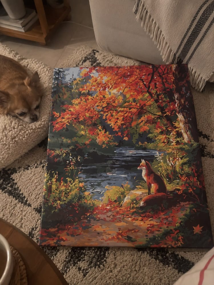 Customer photo review of Renard roux près de la rivière