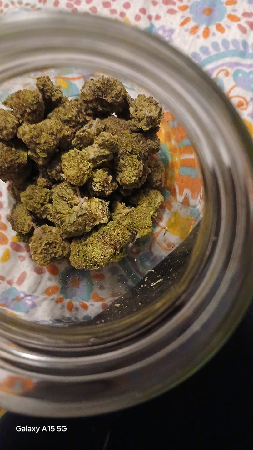 Customer photo review of Light Assist THCA Smalls