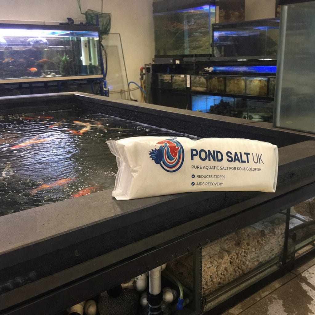 Customer photo review of Pond Salt UK | Pure Aquatic Salt for Koi & Goldfish | Reduces Stress | Aids Recovery