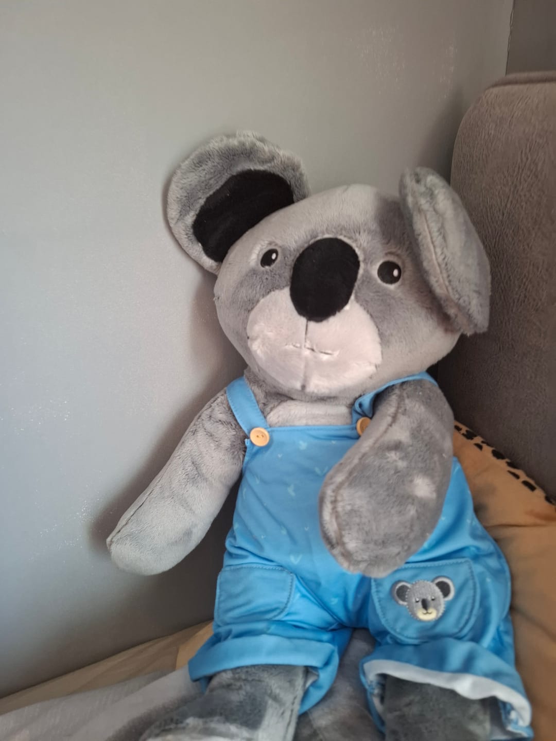 Customer photo review of Lotgenootje Koala 2kg