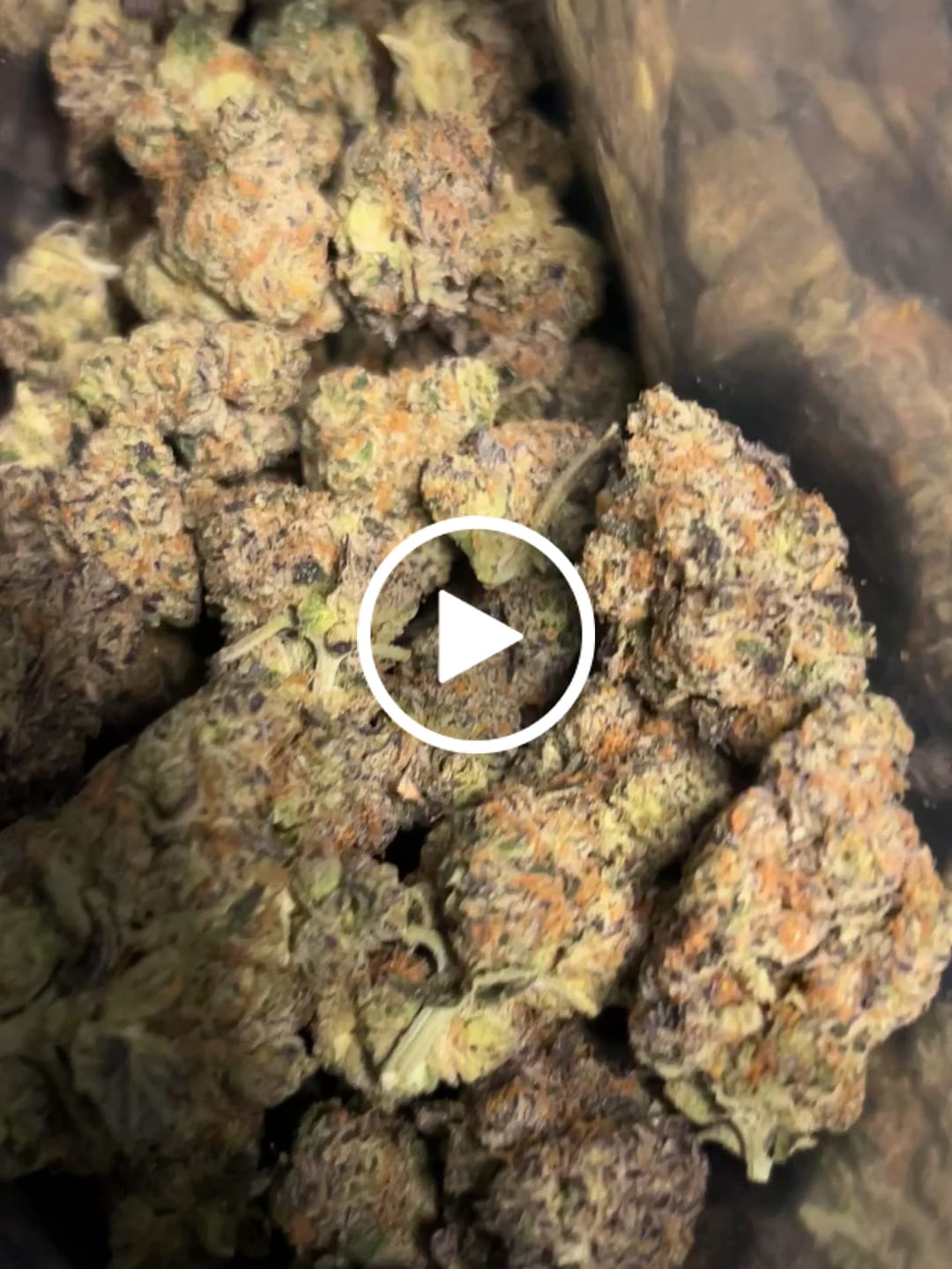 Customer video review of Black Dolphin Exotic THCA
