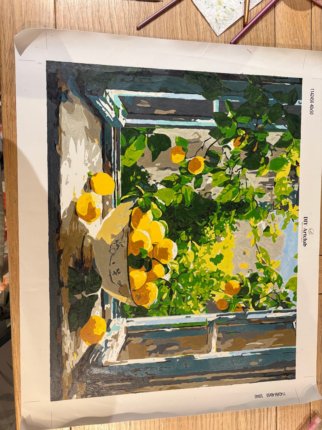Customer photo review of Lemon Bowl by the Window | Paint by Number