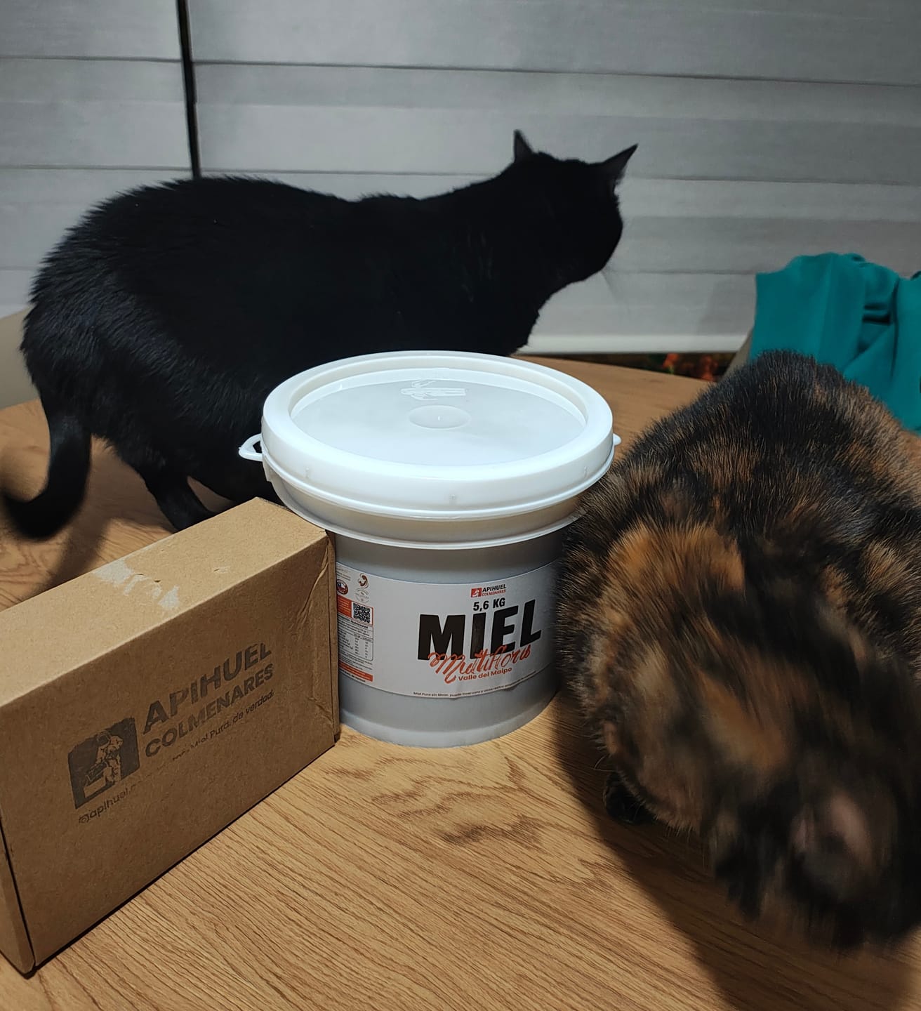 Customer photo review of Balde Miel Multiflora Valle del Maipo 5,6Kg