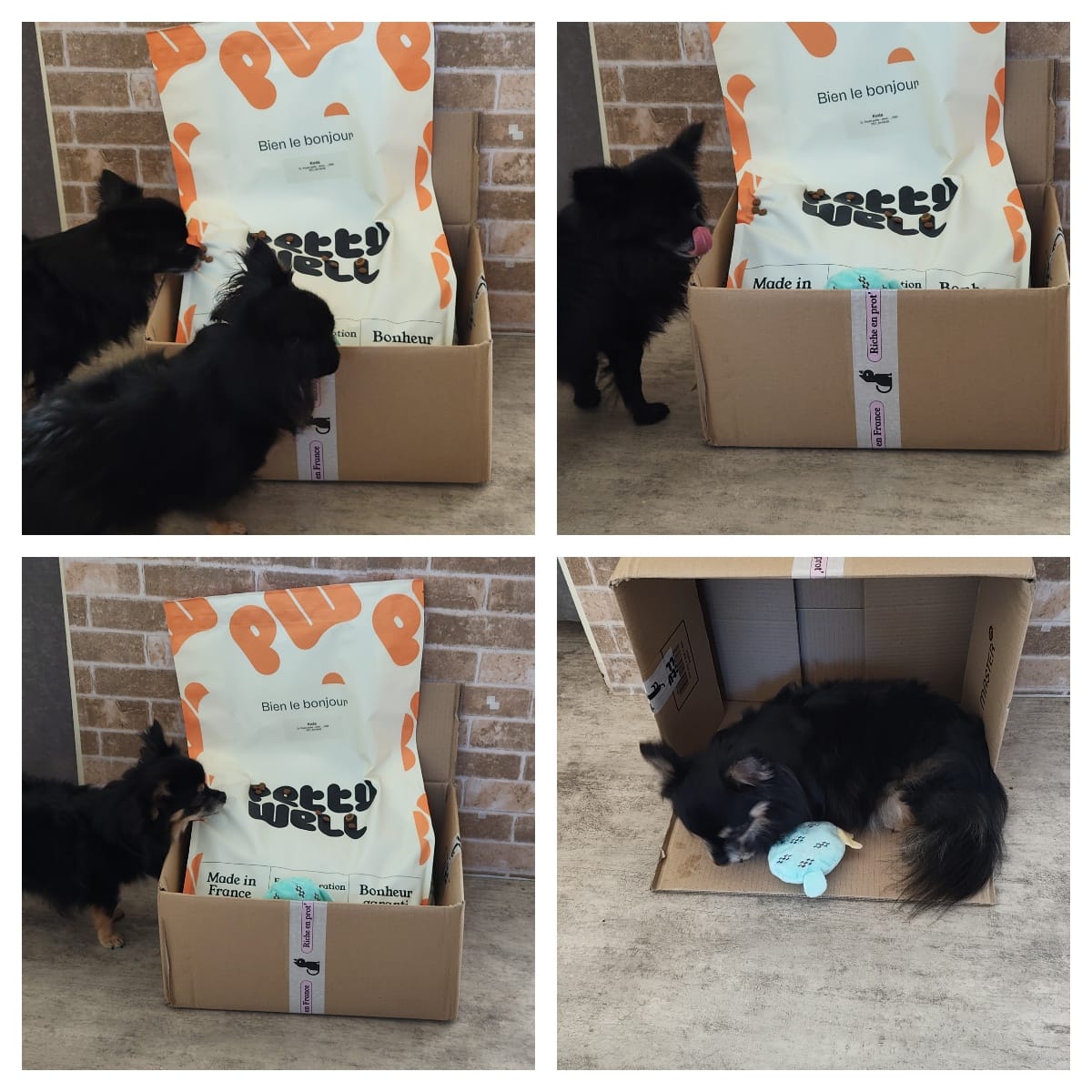 Customer photo review of Croquettes Poulet pour chien (petite) - 1. 56 Mig