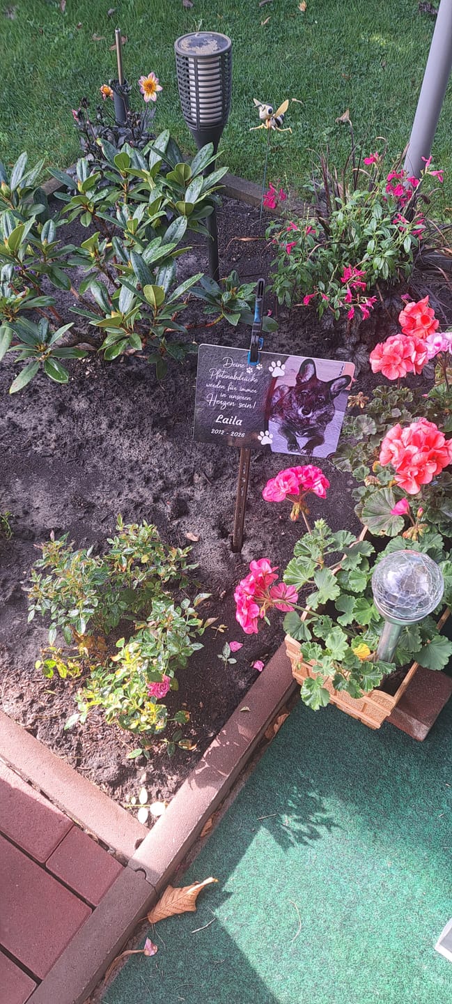 Customer photo review of Hunde Gedenktafel mit Foto & Spruch (UV- &  Wetterfest)