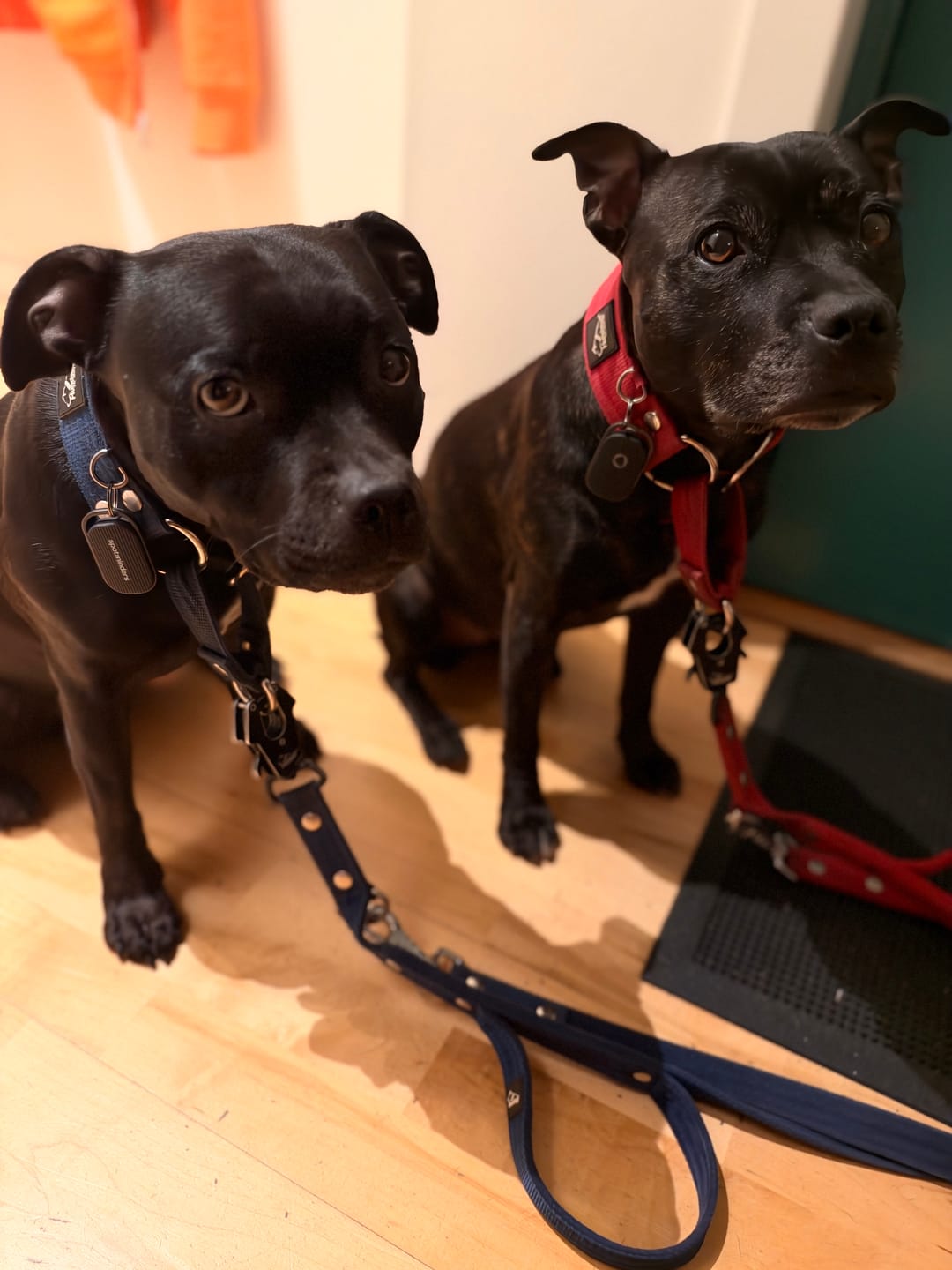 Customer photo review of Rechargeable Smart Tag
