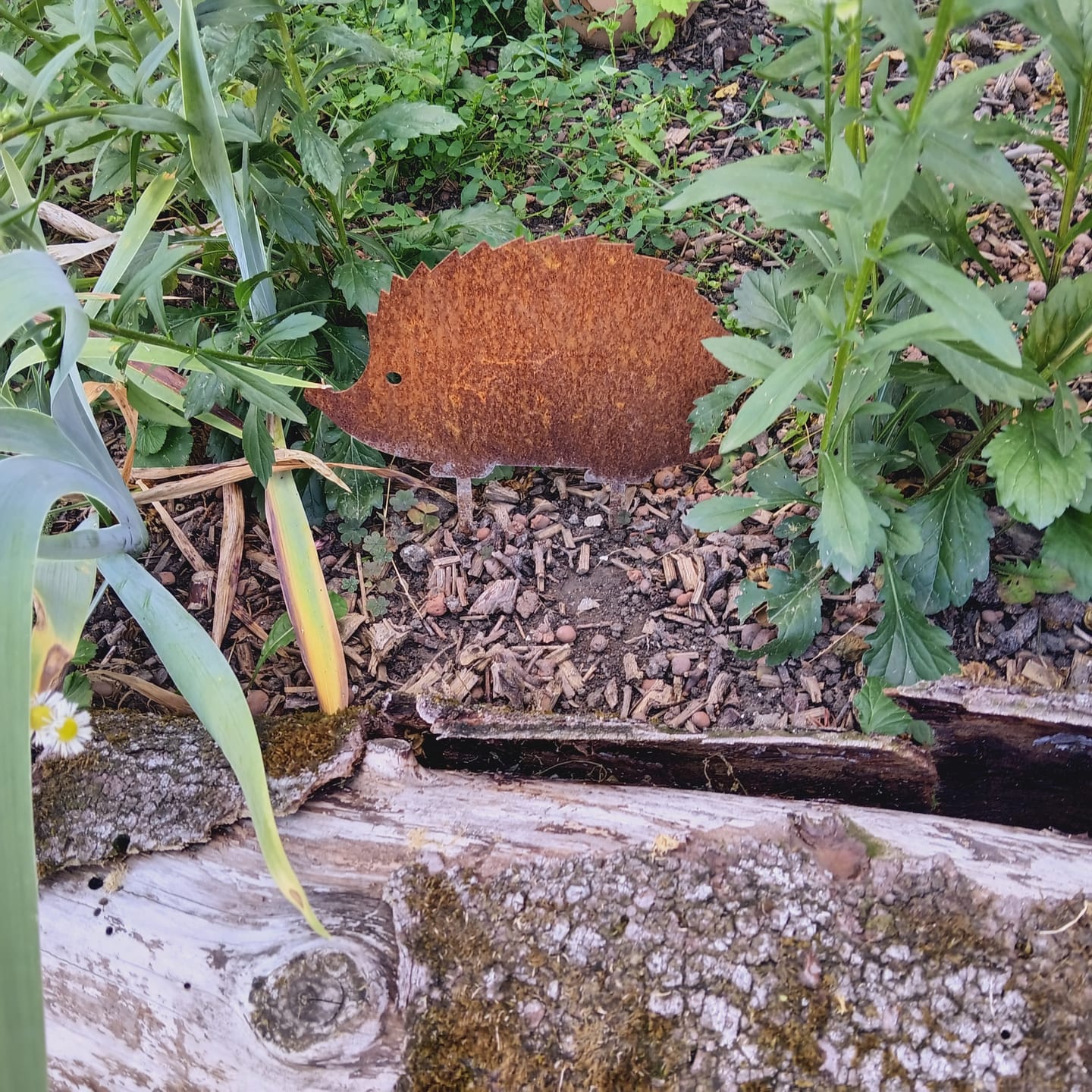 Customer photo review of Gartenstecker Igel
