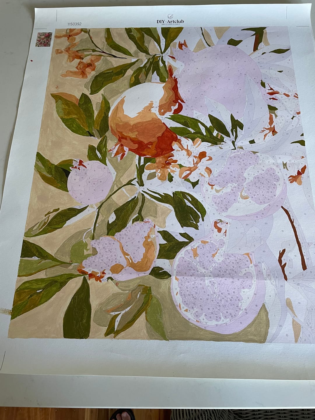 Customer photo review of Blooming pomegranates | Paint by Number