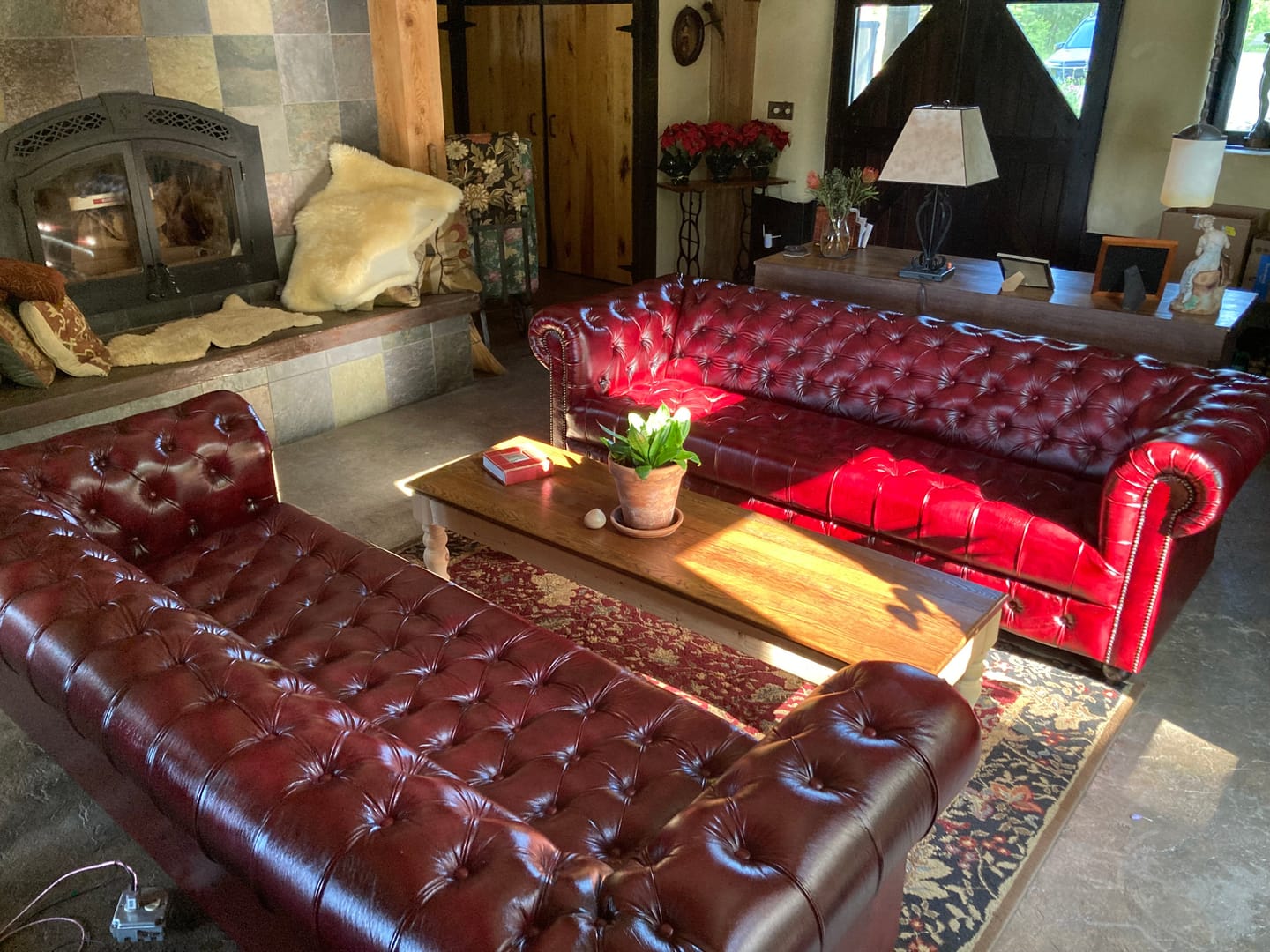Customer photo review of Oxford Red Chesterfield Leather Sofa