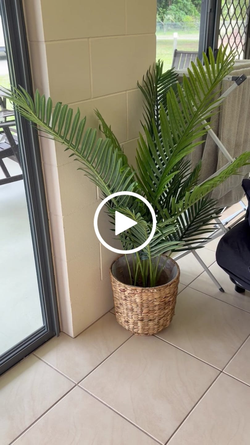 Customer video review of Artificial Potted Areca Palm Tree 120cm