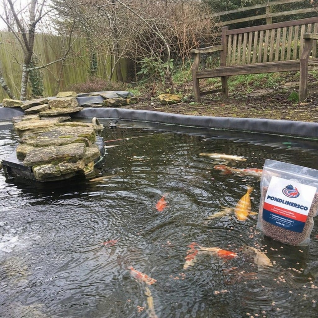Customer photo review of Winter Koi Pond Food UK | Wheatgerm Floating Pellets | Easy to Digest | Cold Water Formula