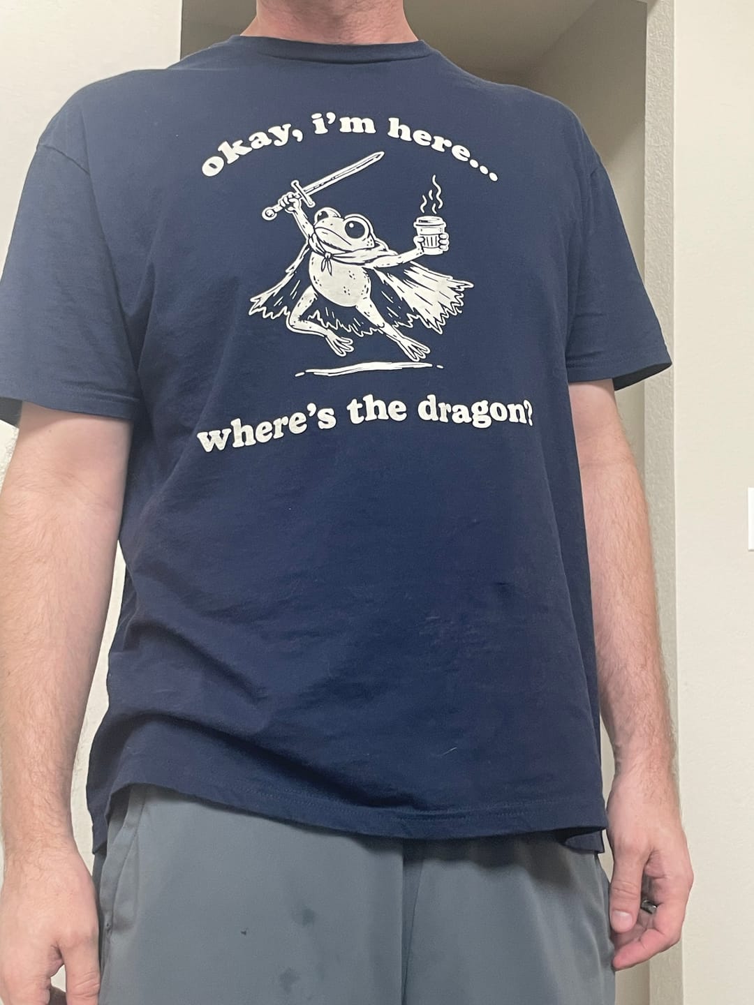 Customer photo review of Where's the Dragon Frog T-Shirt