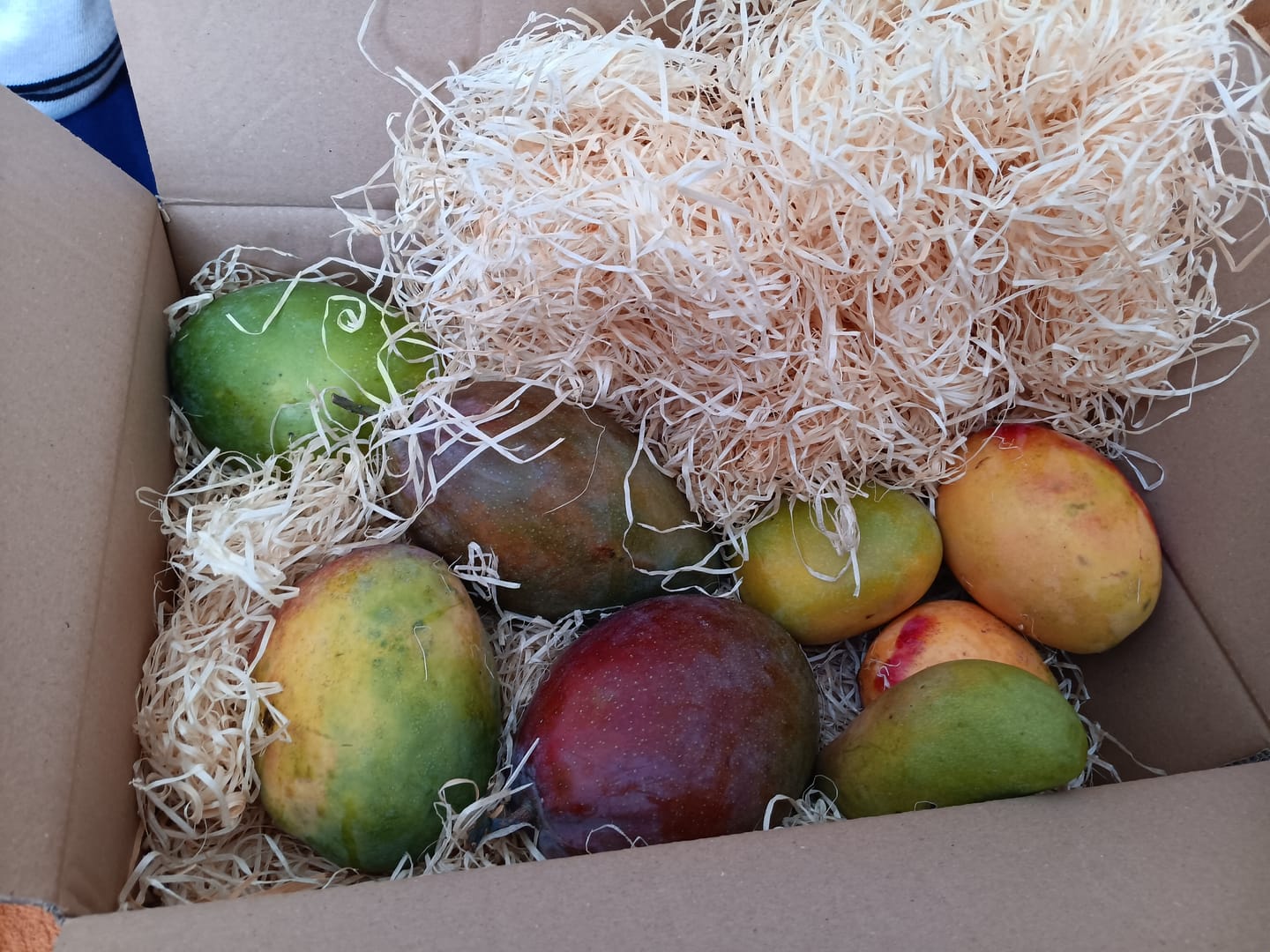 Customer photo review of Mango-Mix Bio von Julian 4kg Aktionspreis %