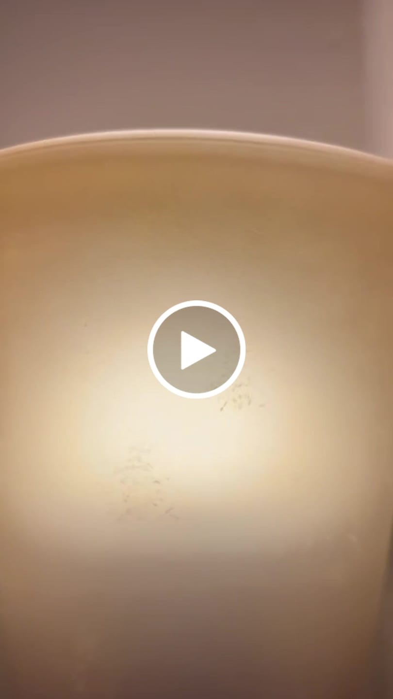 Customer video review of Circadian Lightbulb™