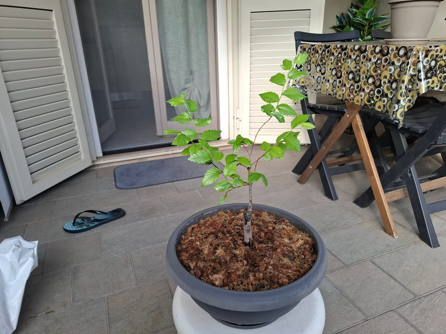 Customer photo review of AUTUNNO PACK